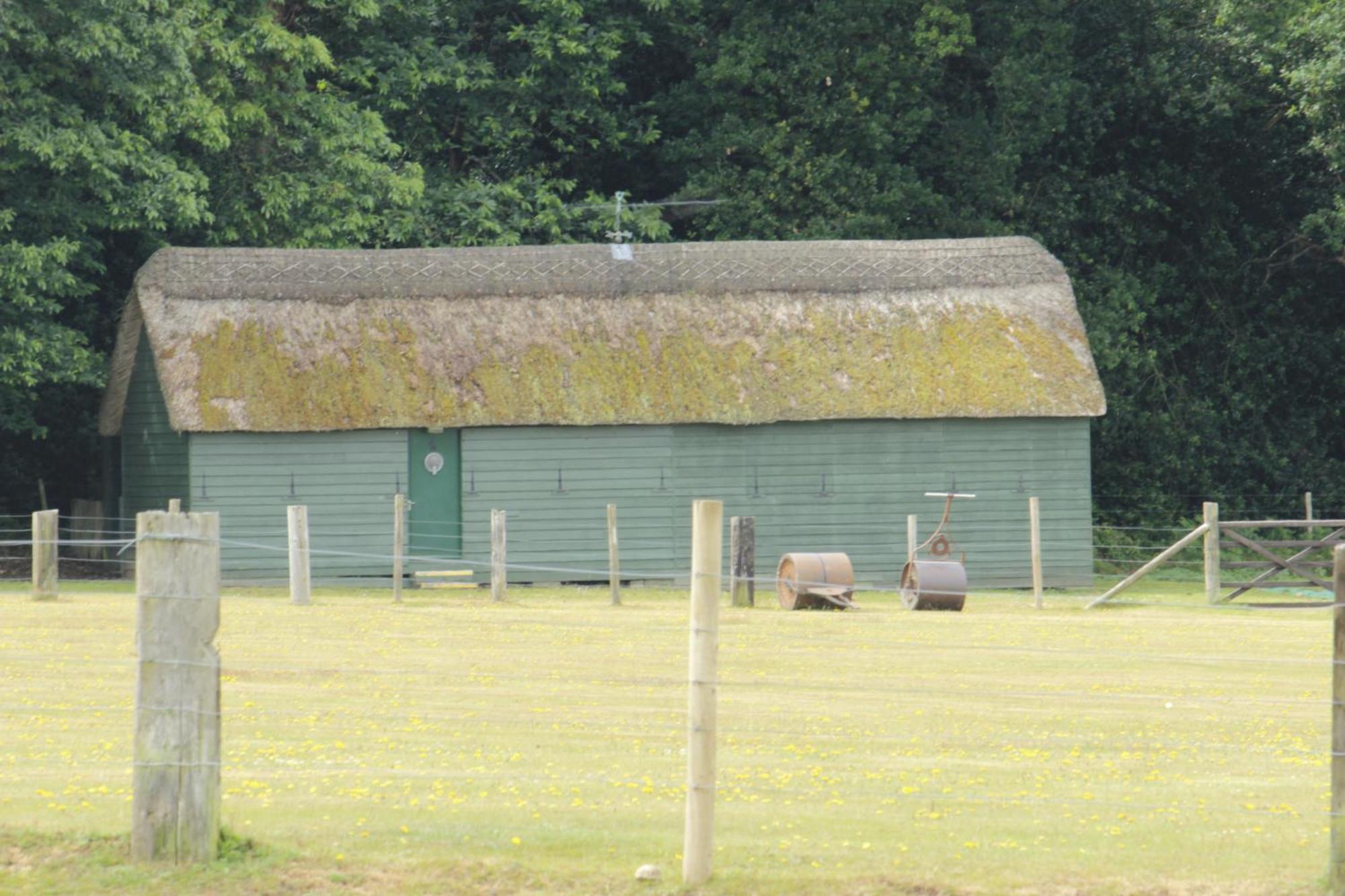 Avondale New Forest Godshill  Exterior photo