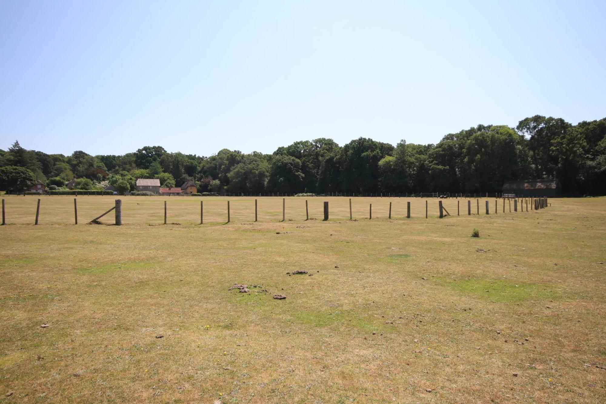 Avondale New Forest Godshill  Exterior photo